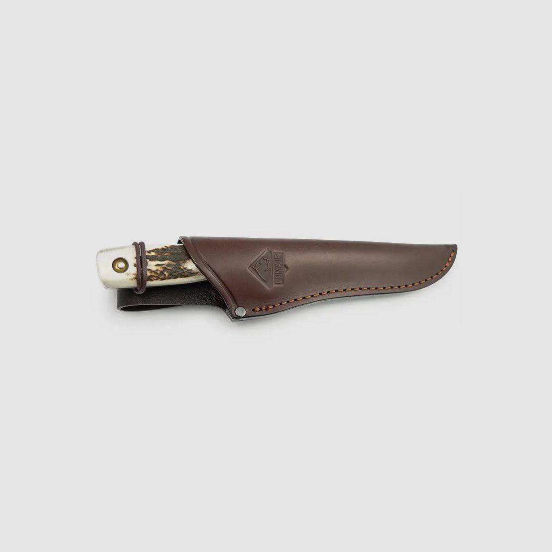 PUMA IP damwild, stag