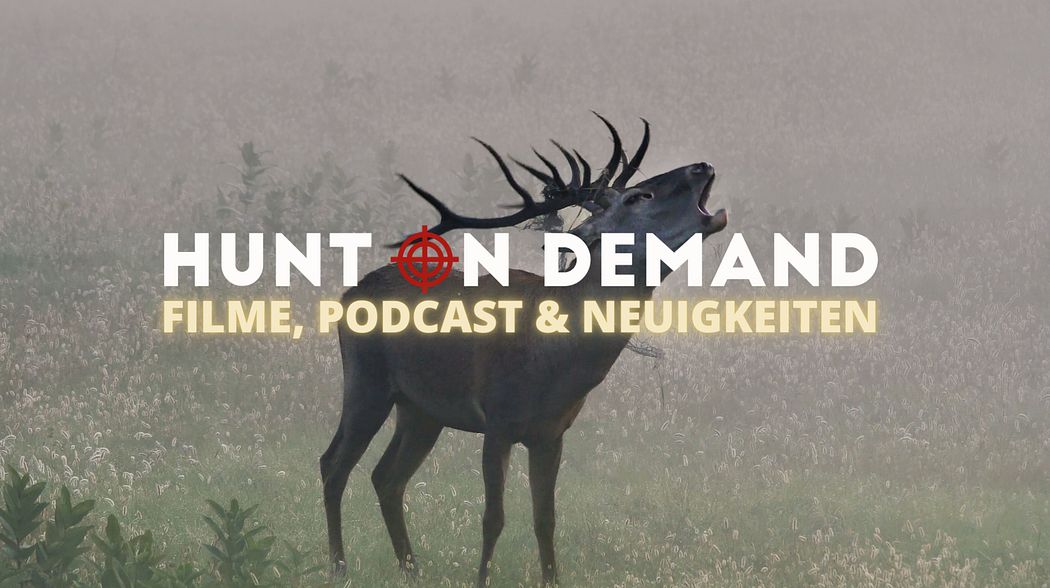 Filme, Podcast & Neuigkeiten!