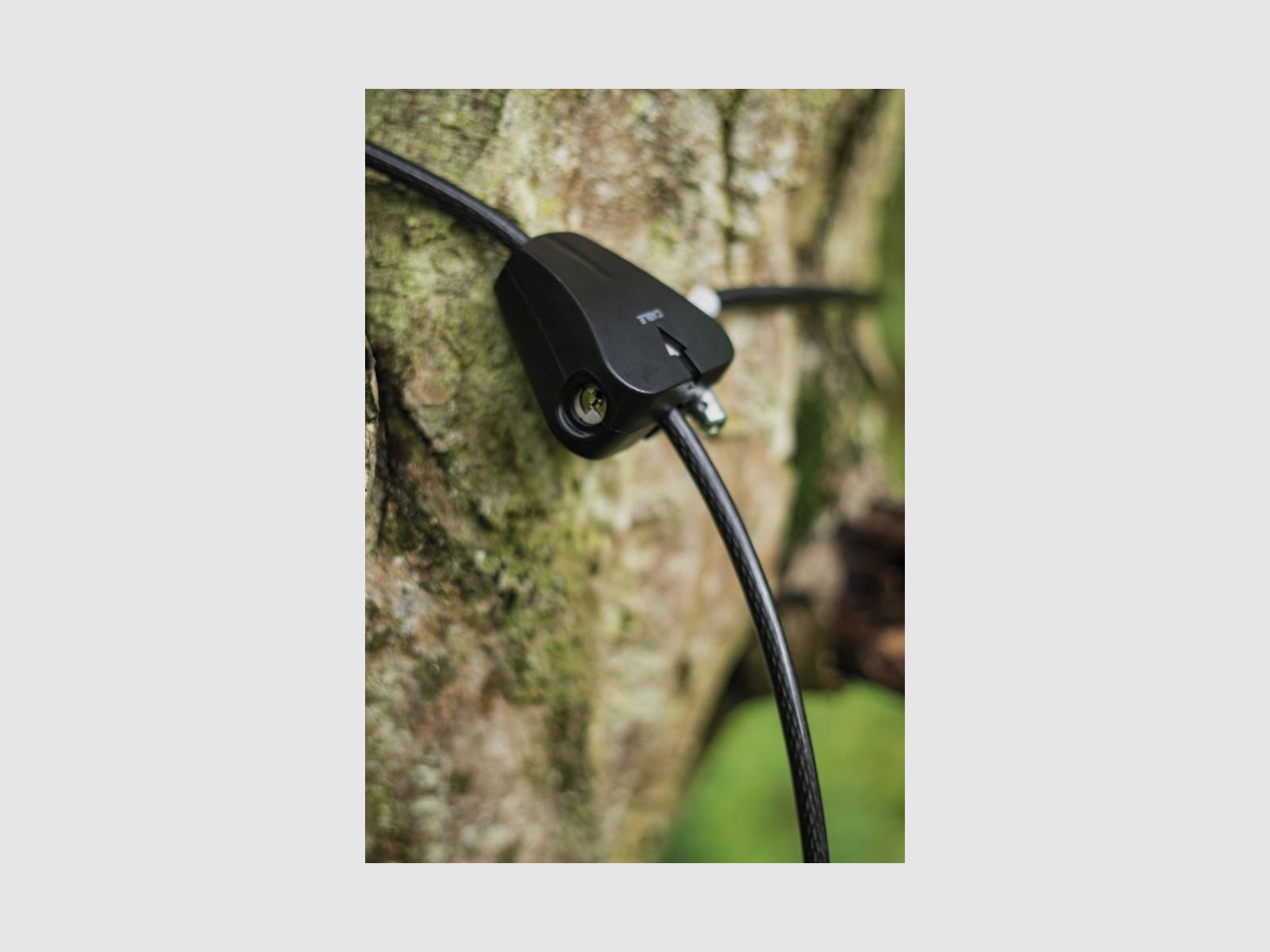 DÖRR Snapshot Cable Lock Master Lock Python black 1.80m