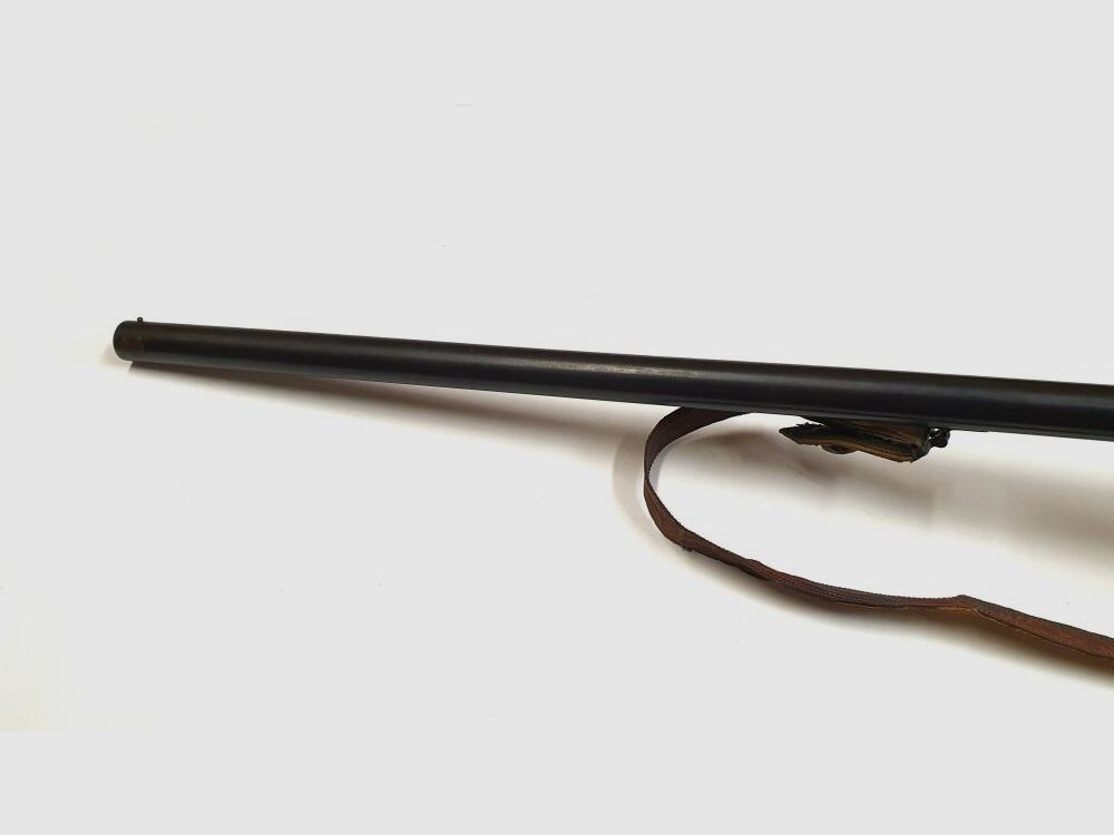 Carrero & Astelarra VANGUARD