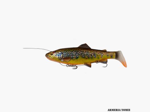 SAVAGE GEAR – 4D LINE-THRU RATTLE TROUT 27,5 cm 258 g sinkend Braune Forelle UV