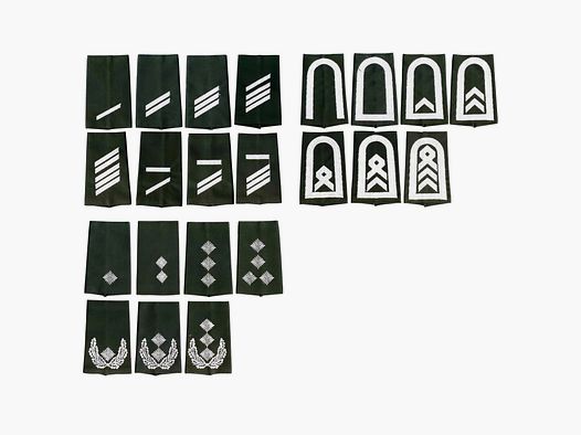 NfD NfD BW rank badge army olive