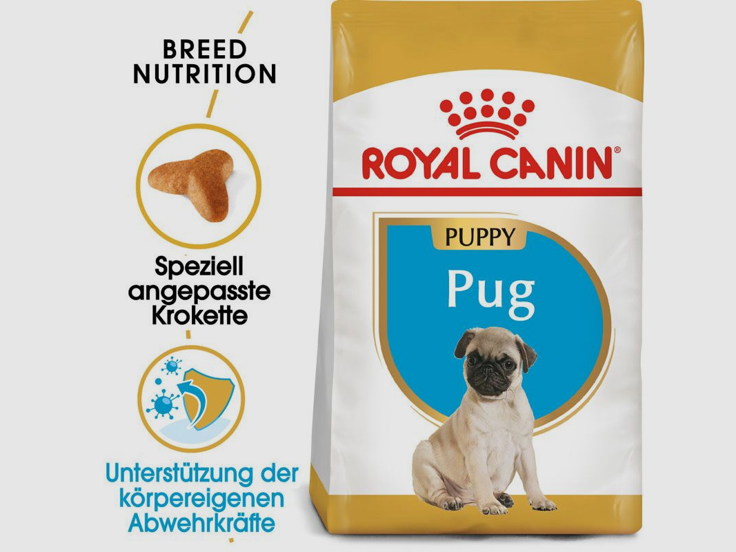 ROYAL CANIN Mops Trockenfutter Adult 3 Kg