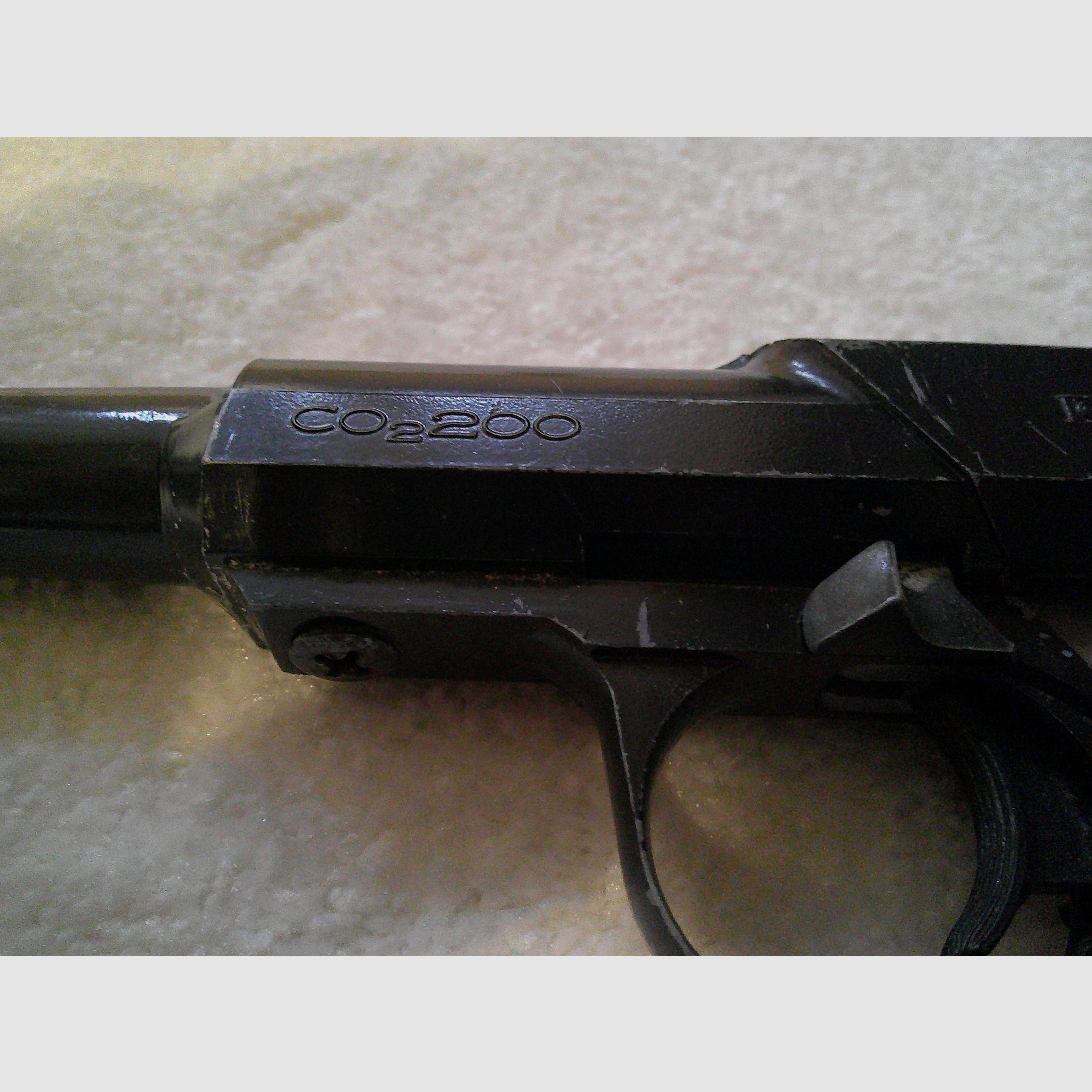 Daisy Model 200
