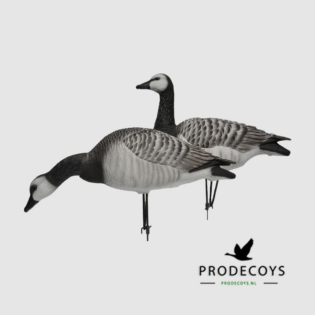 Prodecoys Elite Series appelants d’oie rieuse, corps entier – lot de 6, image 1 sur 8