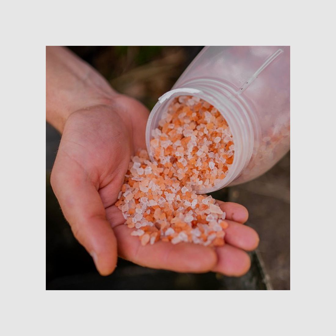 SEL D'HIMALAYA NASHBAIT HIMALAYAN ROCK SALT, Bild 2 von 2