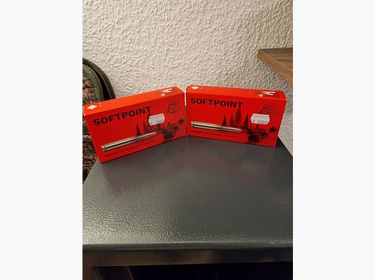 GECO Softpoint .308 Win