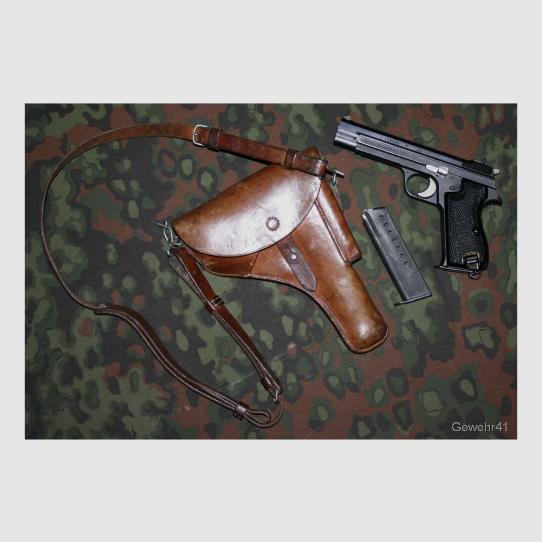 SIG P210