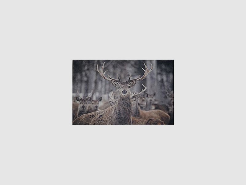 Lovergreen Outdoor Motiv Fußmatte Hirsch mit Herde