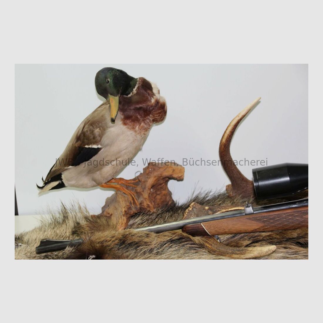 Steyr Mannlicher M with Schmidt & Bender 2.5 - 10 x 56 7x64