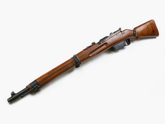 Steyr Mannlicher M95
