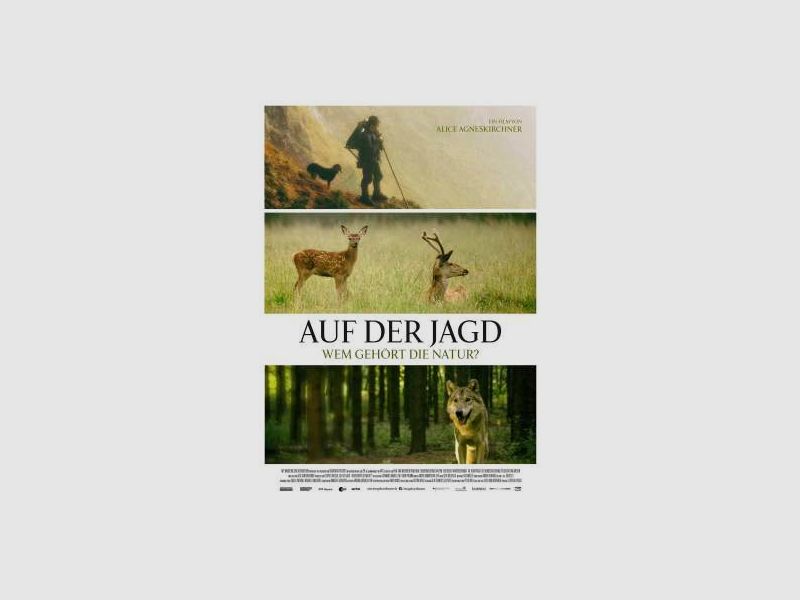 MeoRange 10x42 HD misuratore di distanza, immagine 26 di 41