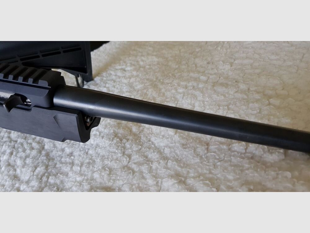 Ruger Charger 22