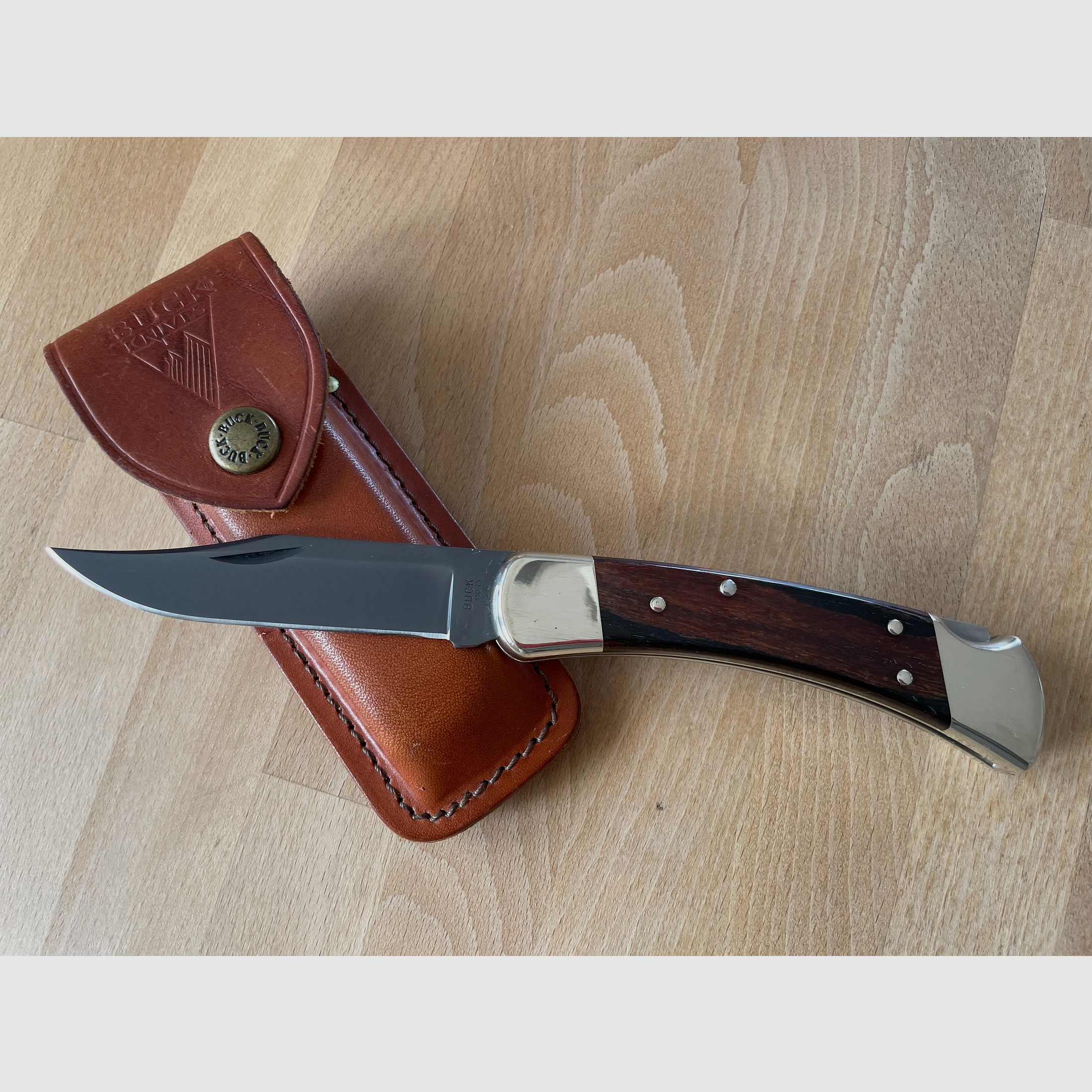 2x Buck 110 Folding Hunter