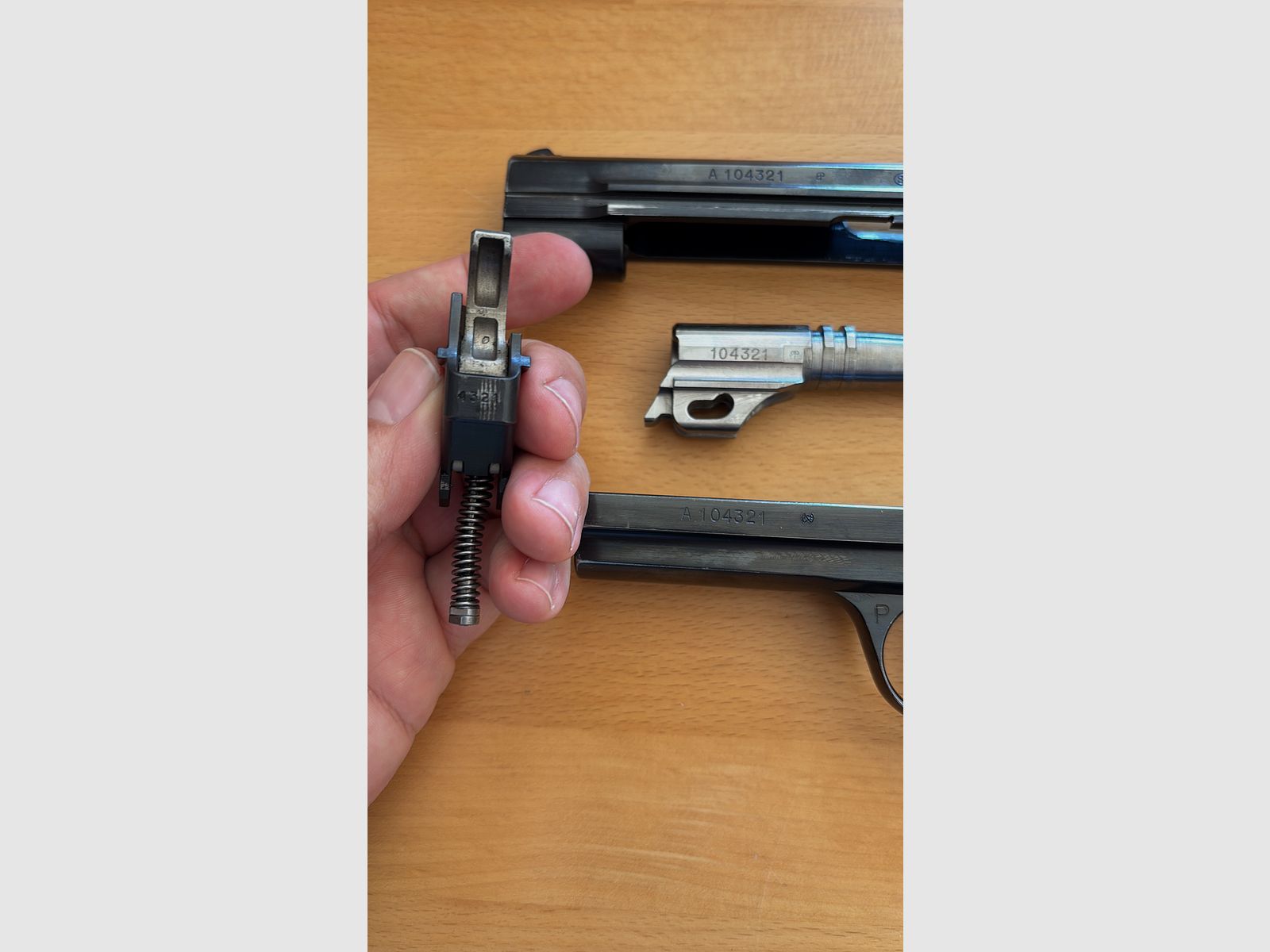 SIG P210