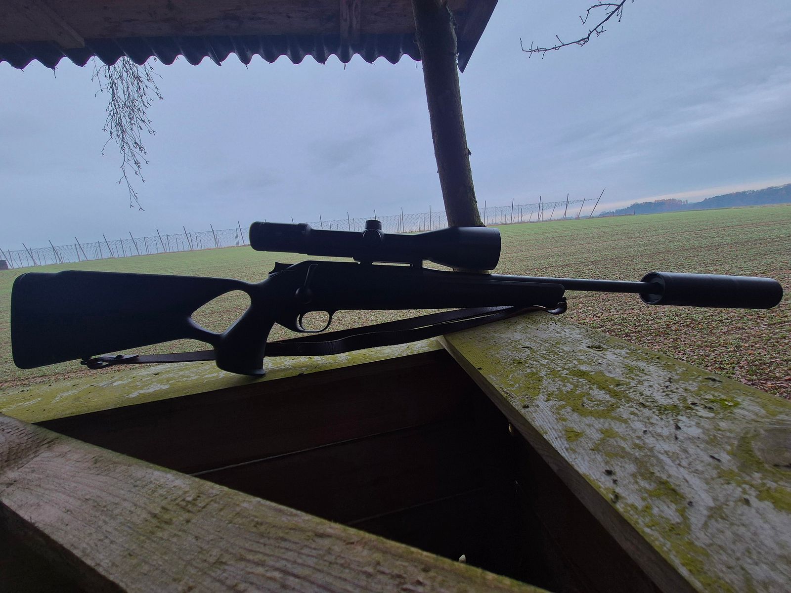 Blaser R8 Professional Success