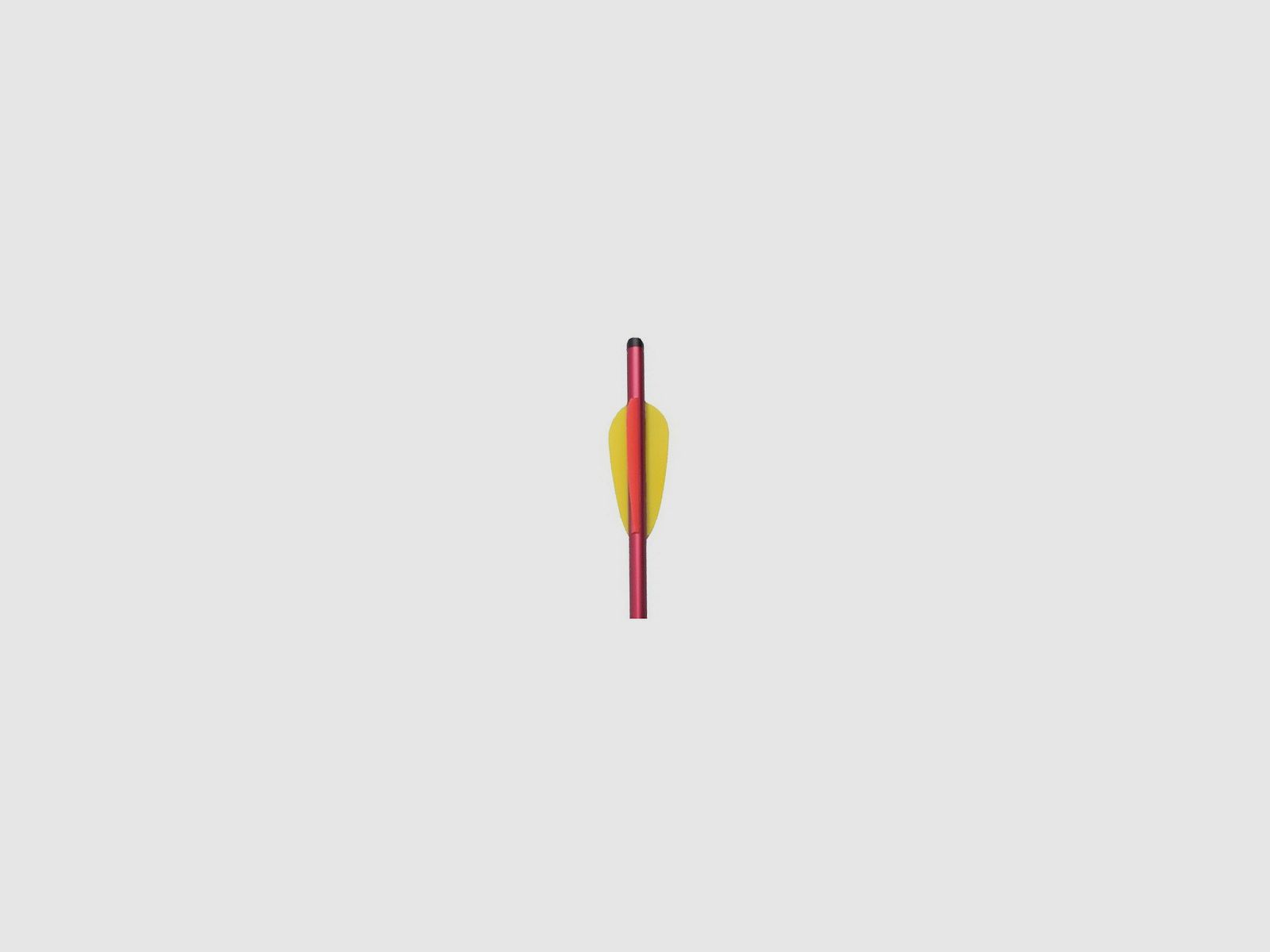 Ek Archery Aluminium-Dart für Armbrust 16" rot, Bild 4 von 4
