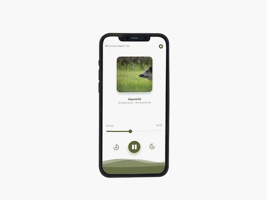 Audio Trainer Jägerschmiede