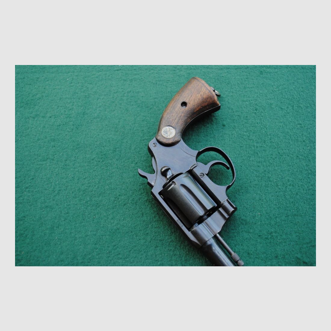 Colt Police Positive Special, Royal Hong Kong Police