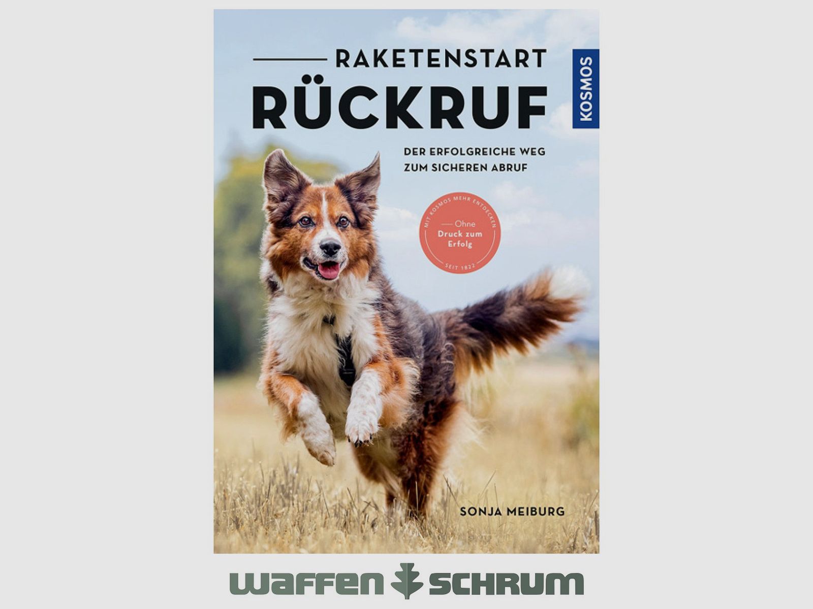 Kosmos Raketenstart - Rückruf Sonja Meiburg