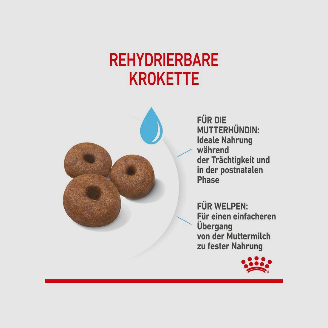 ROYAL CANIN Sehr Große Hunde Trockenfutter Starter Giant tragende Hündin und Welpen 15 Kg