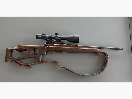 Anschütz 1771 .223 hole stock