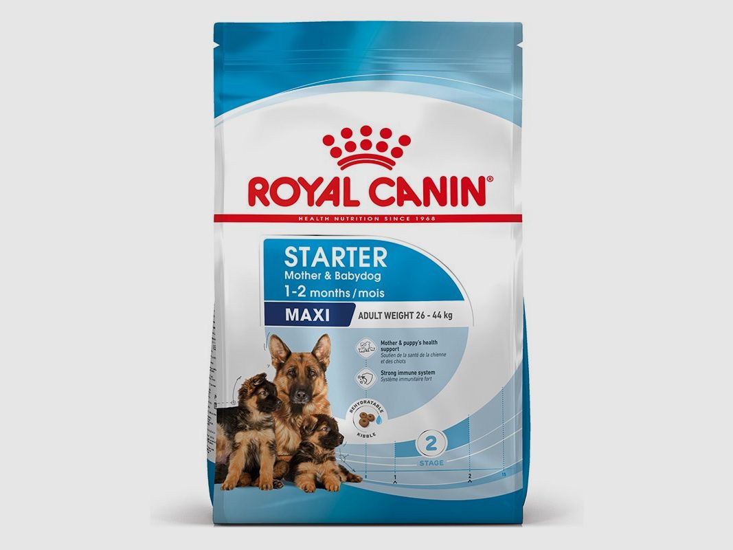 ROYAL CANIN MAXI Starter für tragende Hündin und Welpen großer Rassen 15 Kg