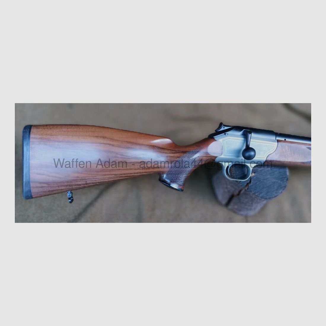 Blaser	 R 93