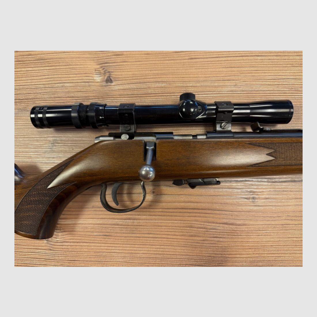 Anschütz RB 22lr Anschütz
