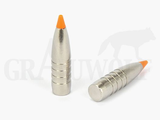 .366 / 9.3 mm 250 gr / 16.2 g RWS Hit Bullets 50 pieces