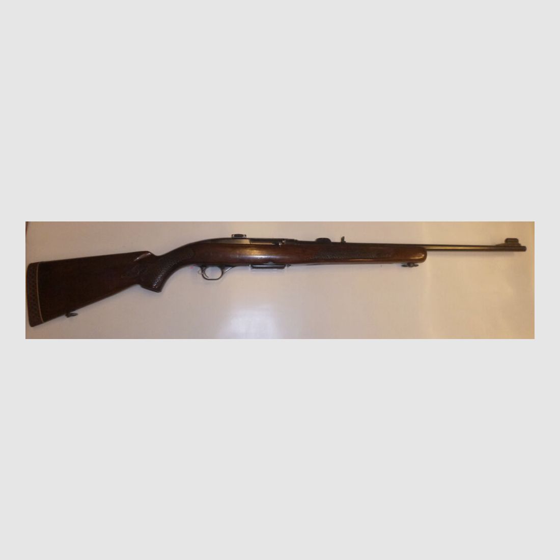 Winchester 100