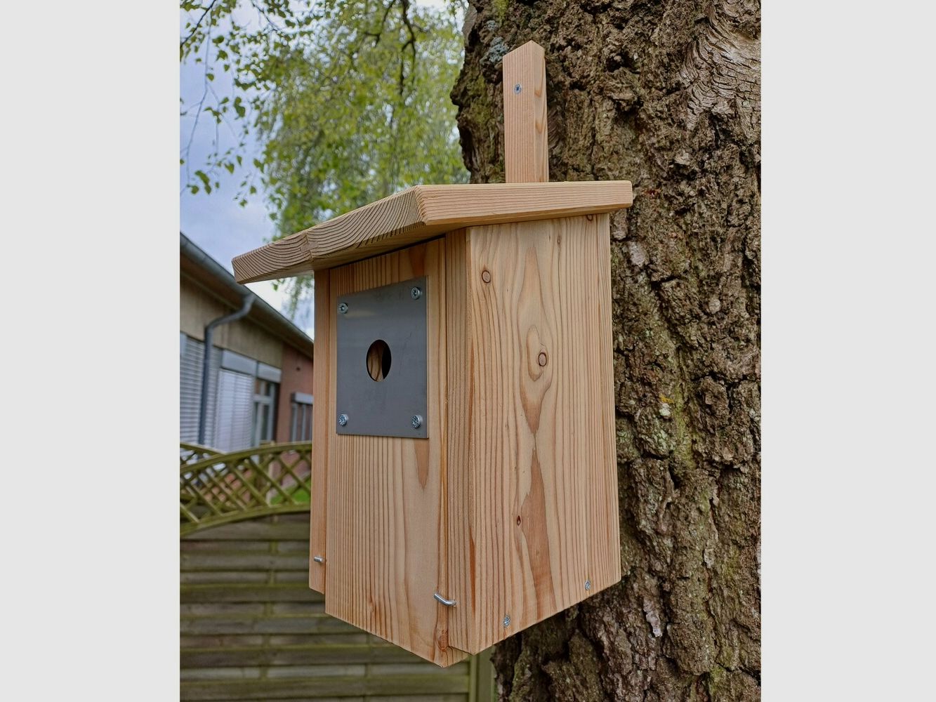 Wald & Forst Höhlenbrutkasten (Eingangslöchergröße 45 mm), Bild 5 von 5