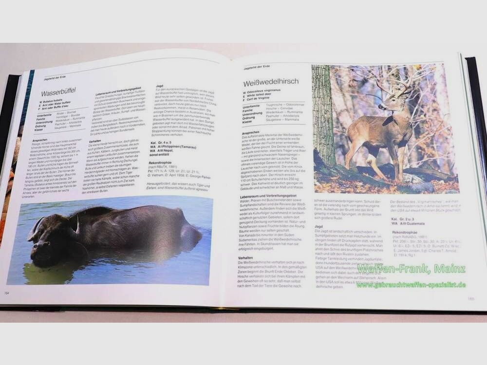 Fink-Kümmerly+Frey Jagd international