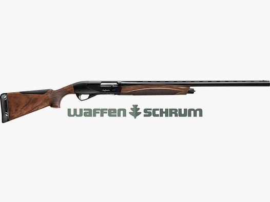 Benelli Raffaello Black MC