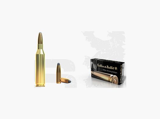 243 WINCHESTER SELLIER & BELLOT SP 100 GRS, 6,5G
