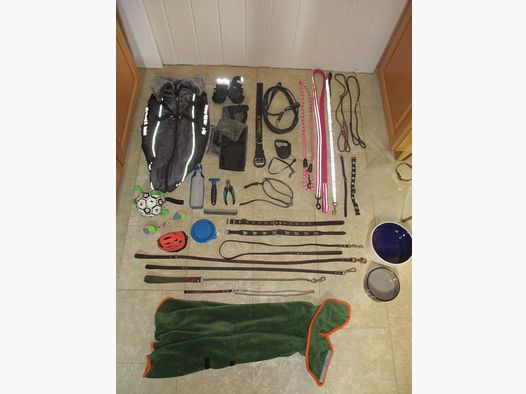 Dog accessories, leashes, collars, clothing, bowls...