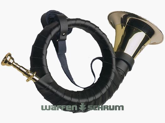 Dotzauer Fürst-Plesshorn B 2-windig Enamel Coating - Tuning - Mouthpiece Green Wrapping - Leather Carrying Strap