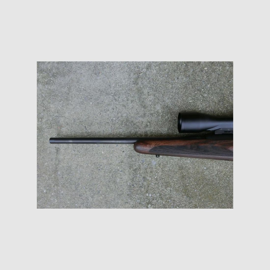 Mauser M25 Max