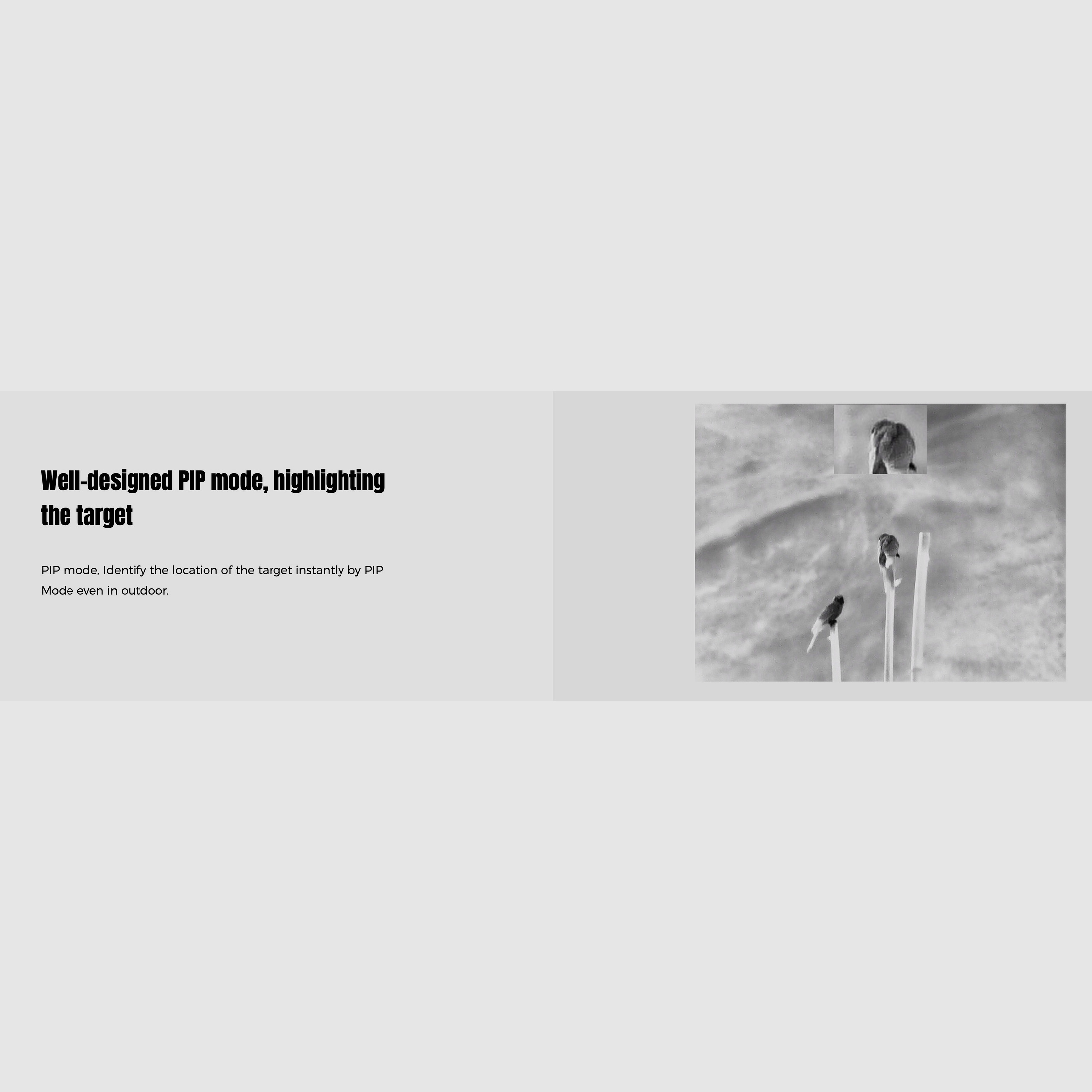 Guide Wärmebildfernglas TN430 Binocular Handheld 400x300 Sensor