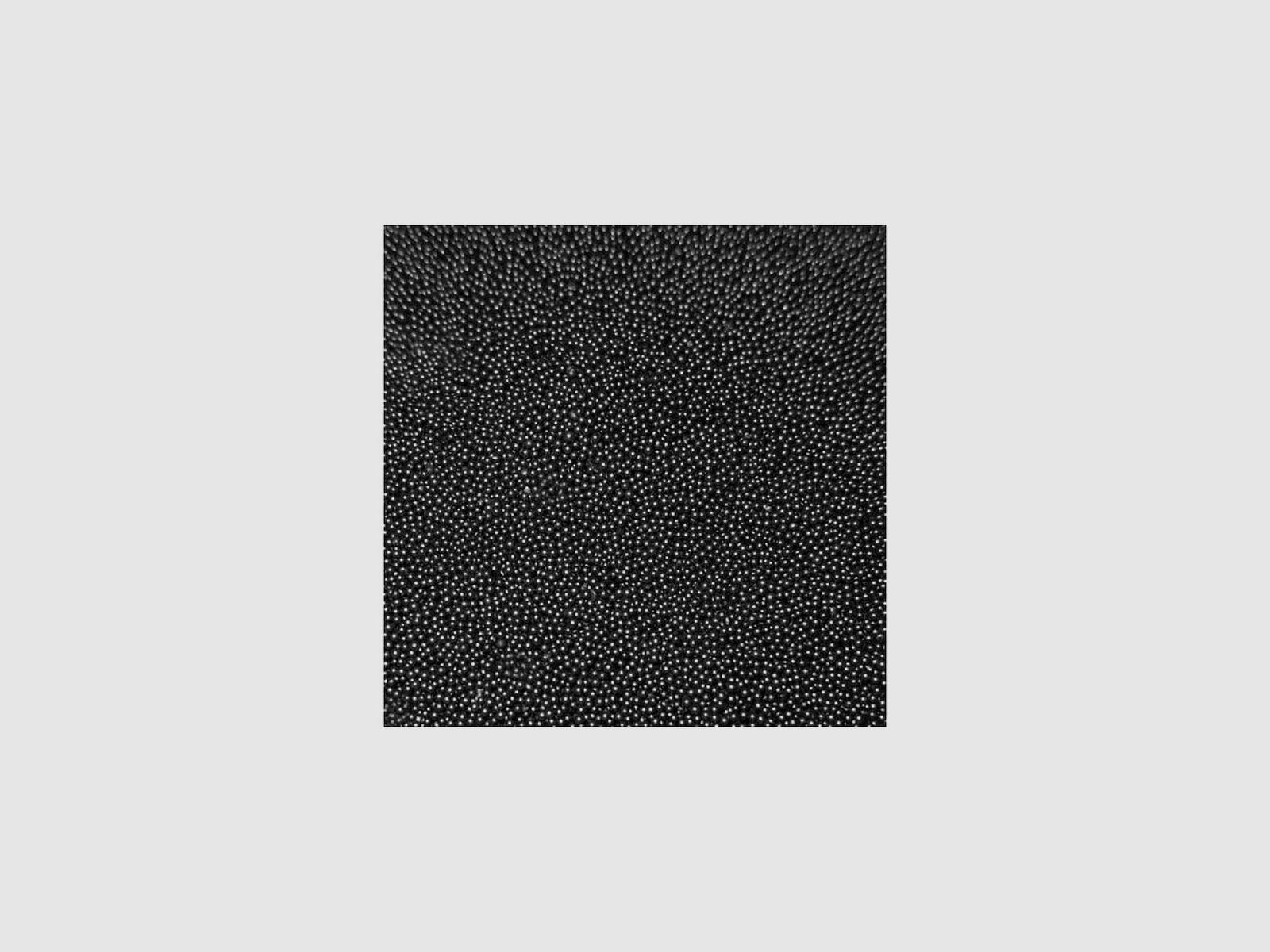 Nobel Sport Vectan SP3 Pulver 0,5 Kg, Bild 2 von 3