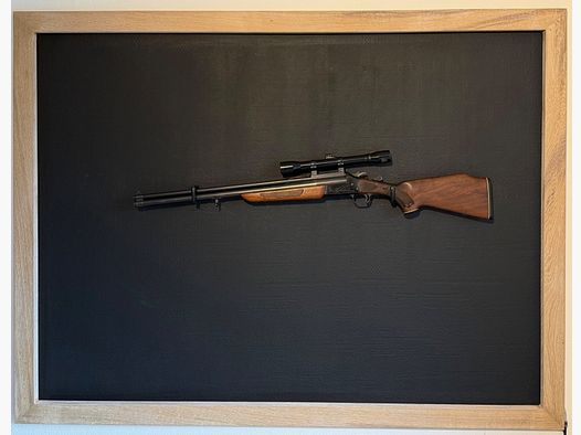 Savage .22 WinMag & 20/70 avec lunette 4x32