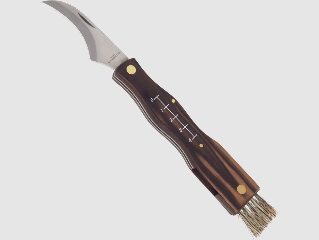Pilzmesser braun
