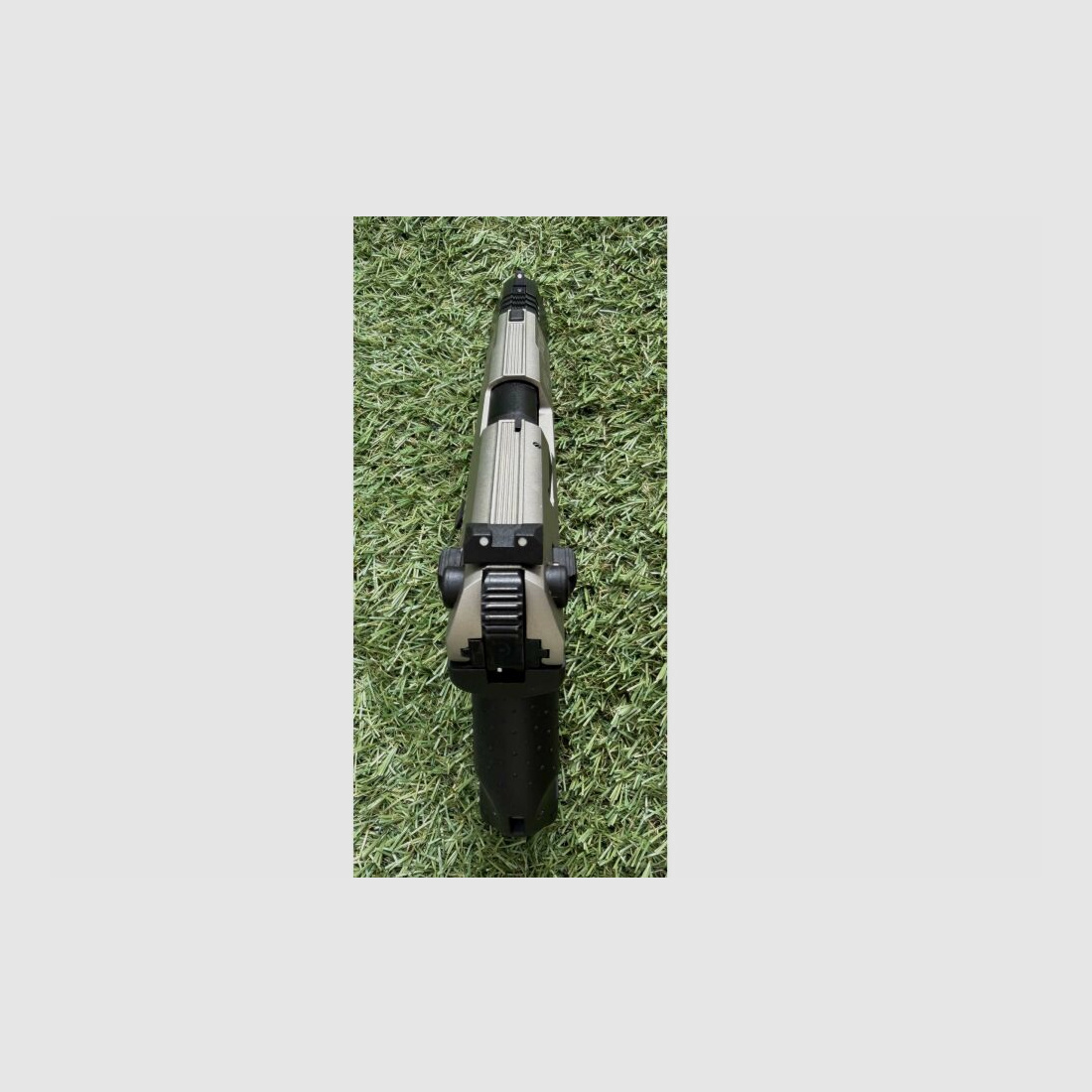 Walther P22 .22lr