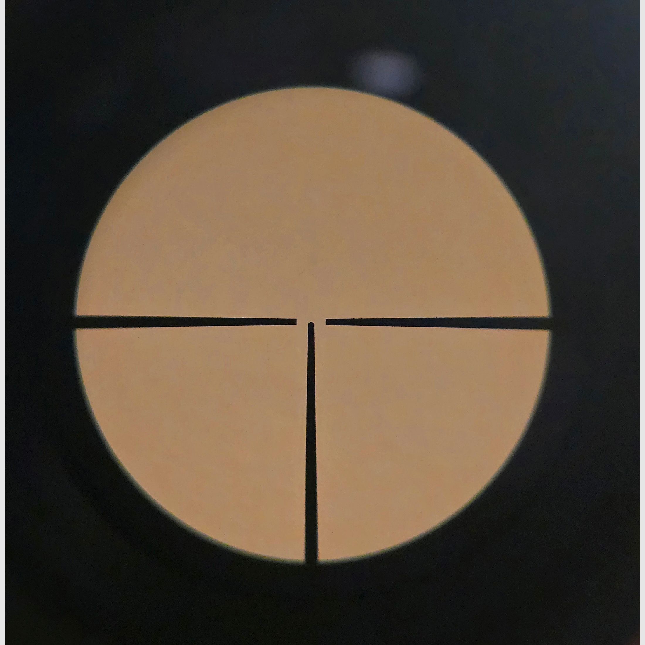Zeiss Diavari-ZM 2,5-10x48 T* (Abs. 1, 1. BE, Zeiss Innenschiene)