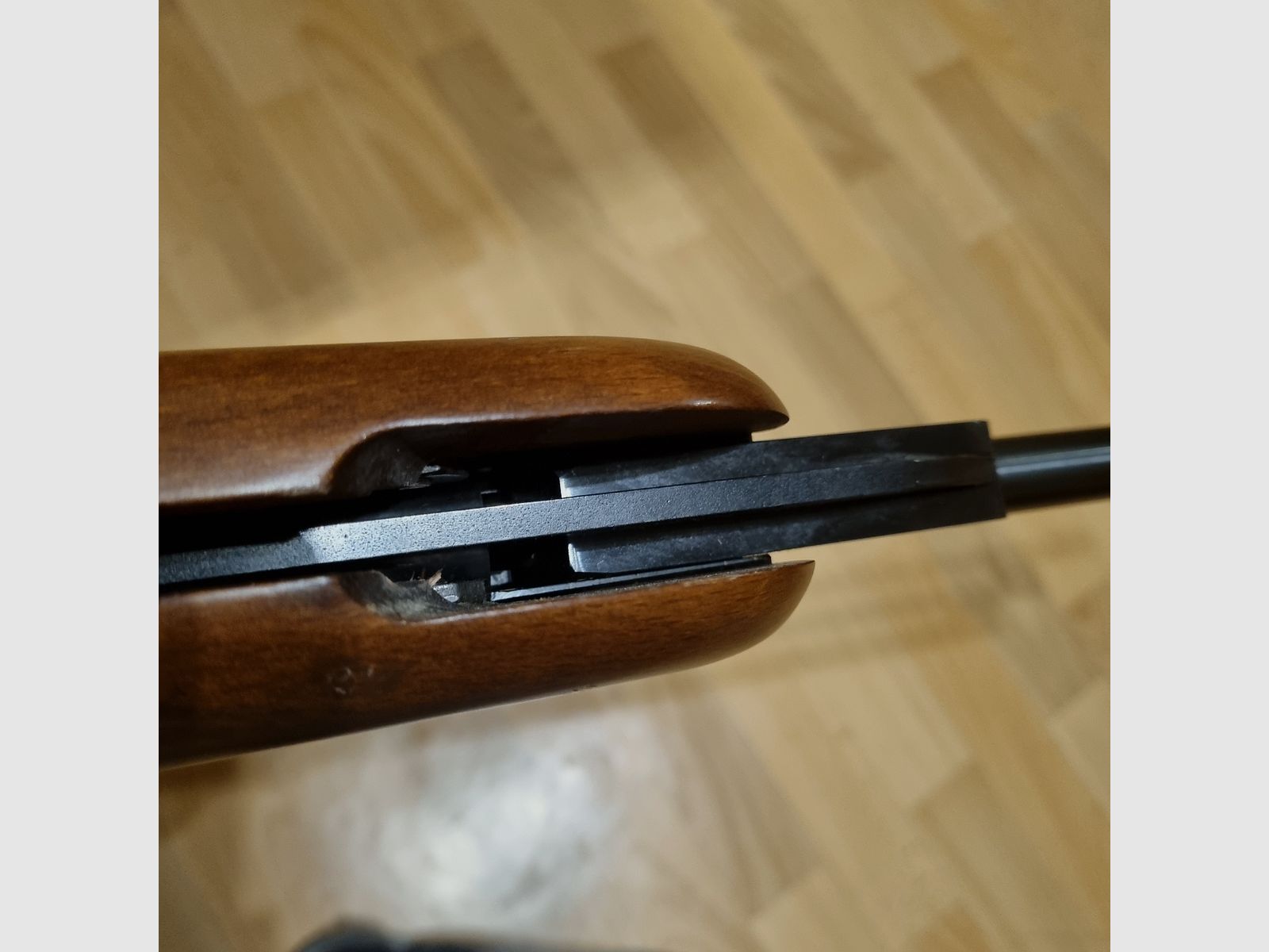 ⁵Incense HW 80 with ZF Gamo 4x20