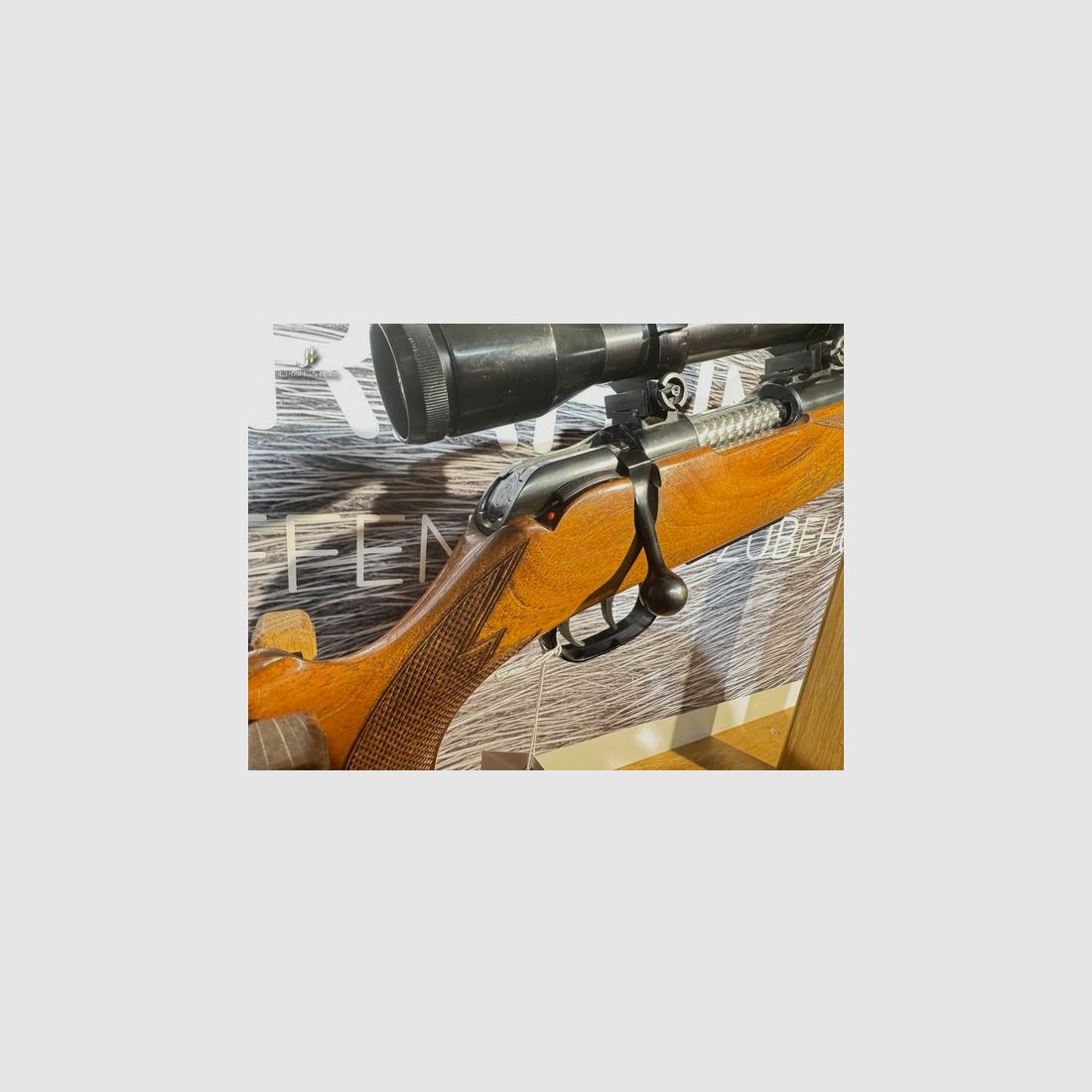 Kriegeskorte & Co Stuttgart; .243Win; ZF6x42