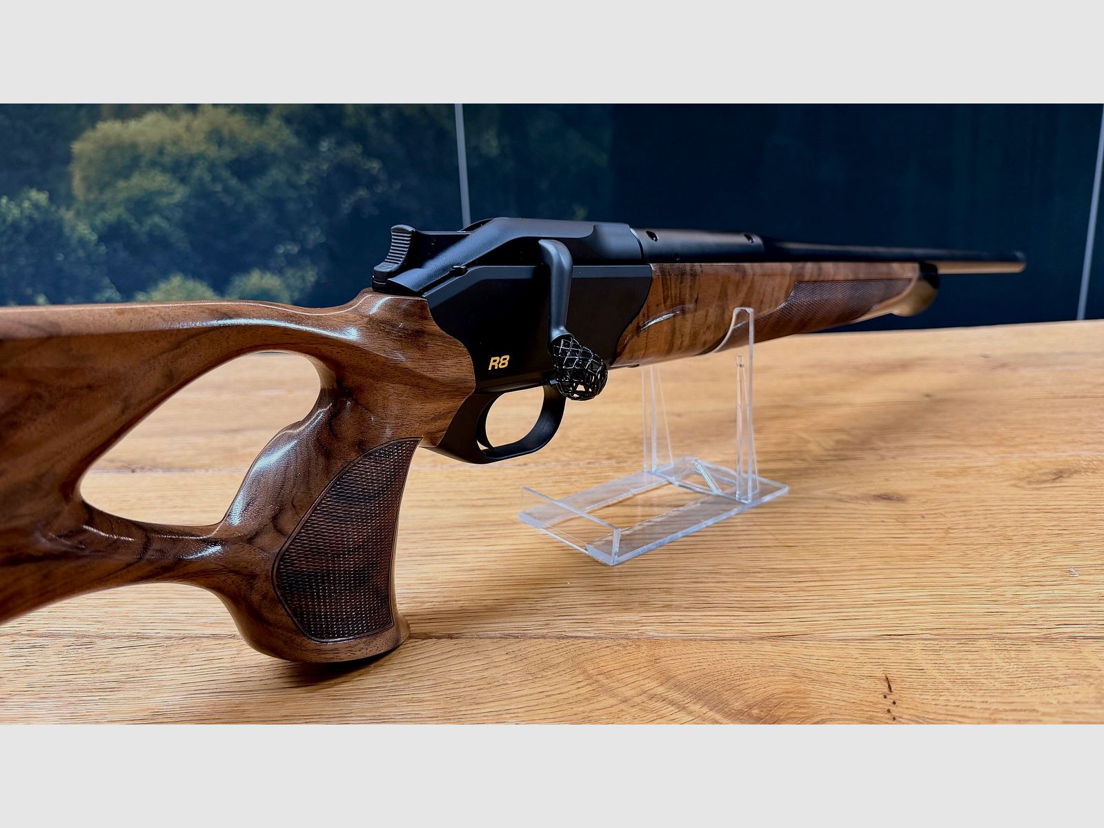 Blaser R8 Success / Holzklasse 4 / Kaliber u. Lauflänge nach Wahl / absolute Gelegenheit