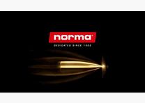 NORMA Cal. 4.. Rifles .416 Rem Mag SOLID 10 pcs 25.9g/400grs