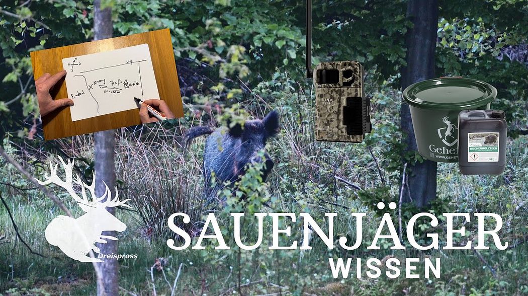 Wie locke ich Wildschweine? #Kirrung SAUENJÄGER |  HOD Free Episode