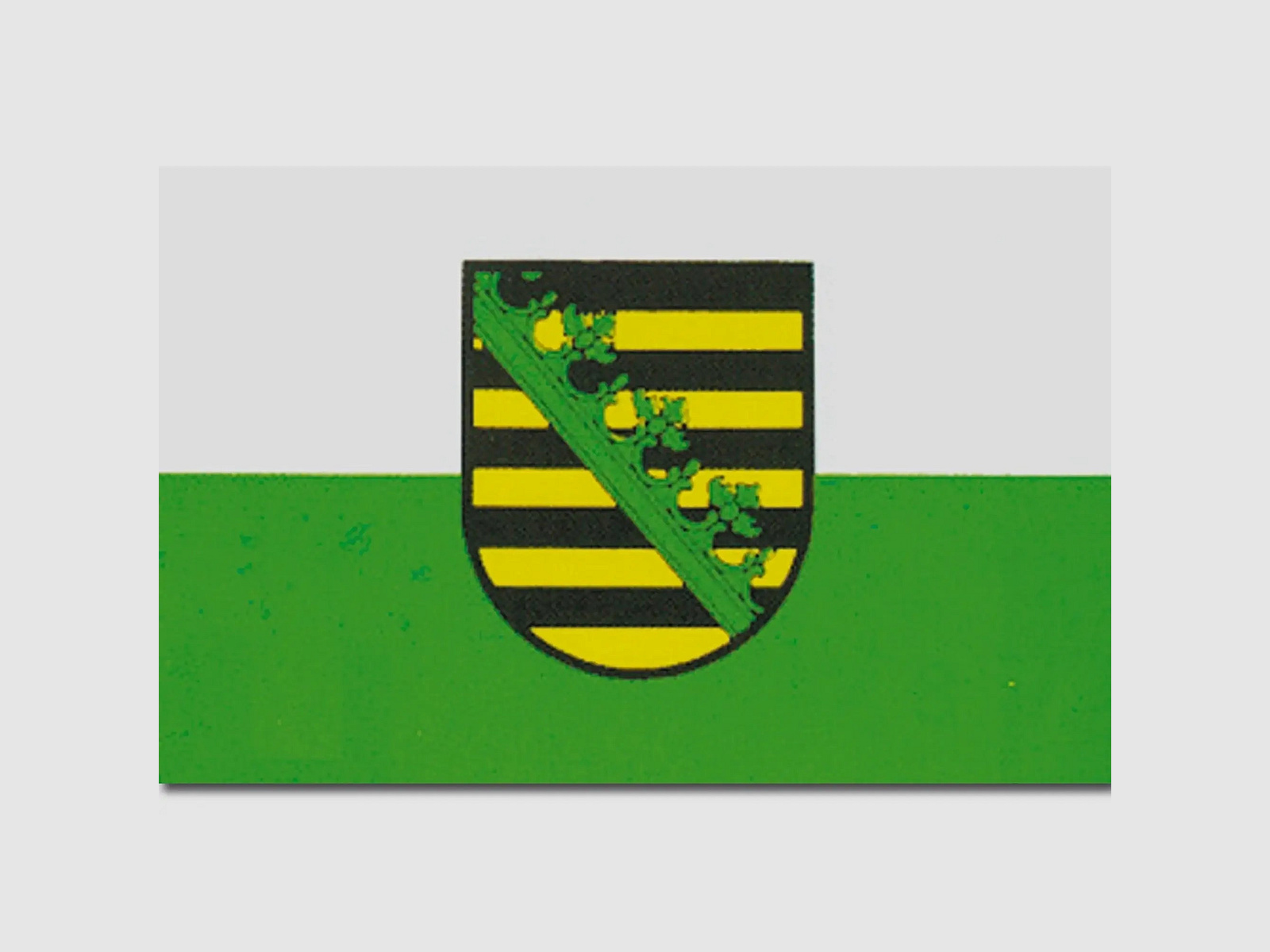 Diverse Flagge Sachsen